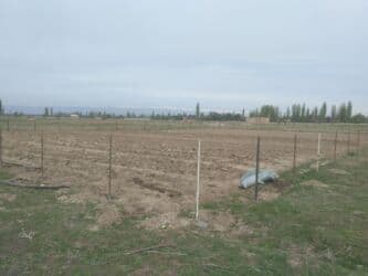 сколько стоит аренда земли сельхозназначения: 15 соток, Для строительства, Красная книга — 4