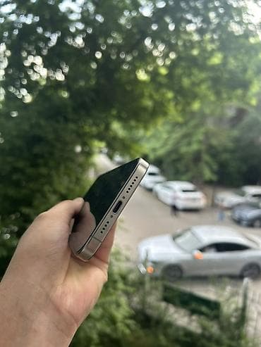 pro max 14: IPhone 15 Pro Max, Новый, 256 ГБ, Серебристый, Защитное стекло — 5