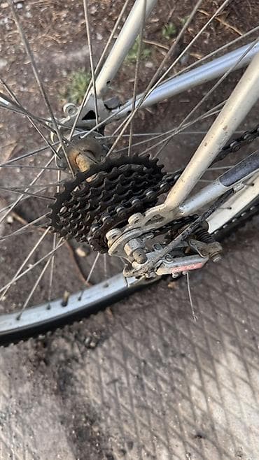 single speed: Горный велосипед, Рама L (172 - 185 см), Алюминий, Б/у — 6