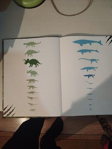 Книги и журналы: Книги для детей и подростков (на русском): 1) Ежедневник «Гравити — 4