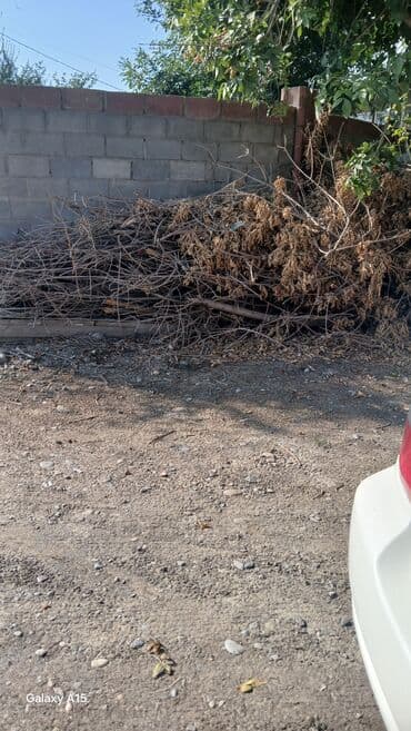 сухие дрова: Дрова — 1