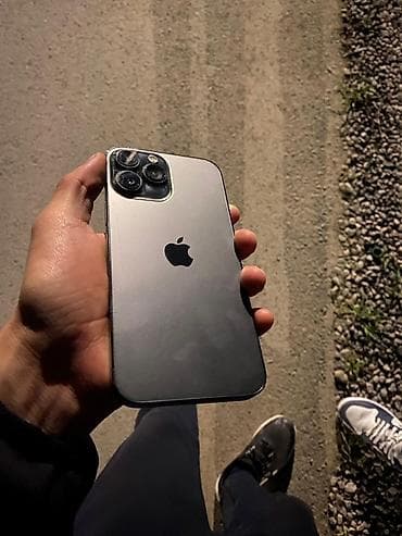 IPhone 13 Pro Max, Б/у, 256 ГБ, Серебристый, Защитное стекло, Чехол, 74 %