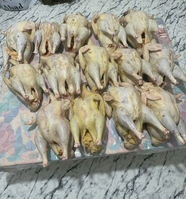 Даяр тамактар, кулинария: Күрп :, Акысыз жеткирүү — 2