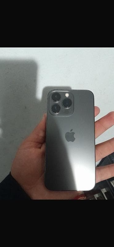 iphone 15: IPhone 13 Pro, Черный, Чехол, 77 % — 8