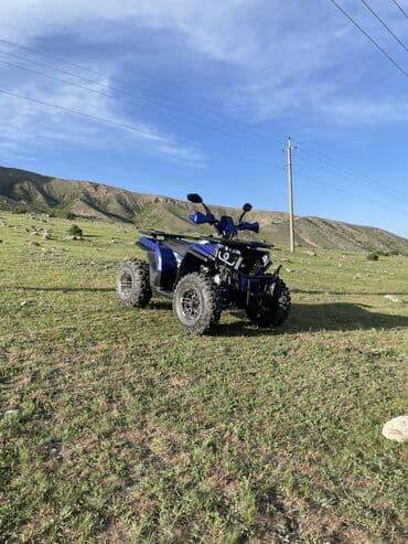 авто из китая в рф через киргизию⚡ бишкек: Квадроцикл Бензин, 200 куб. см, Взрослый — 3