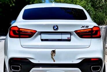 приятного просмотра вам: Наклейка, стикер 3D с изображением кошки, 3D трехмерная милая — 4