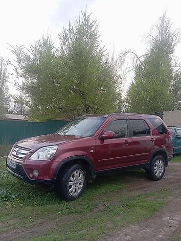 red cell: Honda CR-V: 2005 г., Автомат, Бензин, Кроссовер — 4