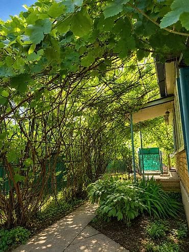 кен сай пост: 5 соток, Для бизнеса, Красная книга, Тех паспорт, Договор купли-продажи — 4