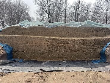 боос кой: Продаю силос высокого качества Адрес Ысык атинский район село Кенеш — 3