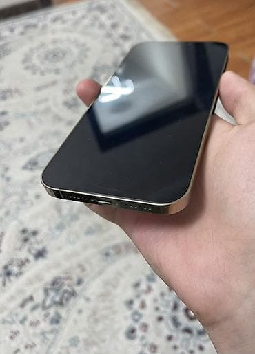 iphone red 7: IPhone 12 Pro Max, Золотой — 3