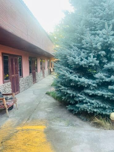 сдаю дом в военно антоновке: Дом, 40 м², 2 комнаты, Собственник, Старый ремонт — 15