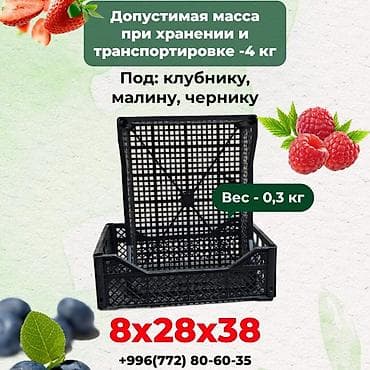 лотоки: Пластиковый Ящик, Новый — 5