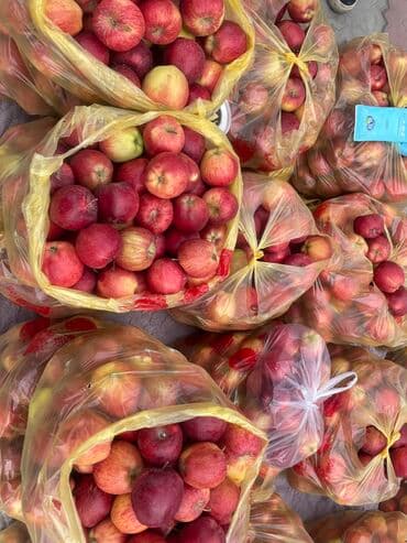 Яблоки Превосходное, Оптом