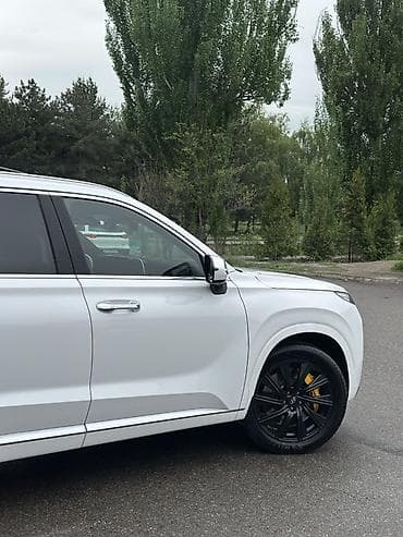 hyundai polisade: Hyundai Palisade: 2020 г., 2.2 л, Автомат, Дизель, Кроссовер — 3