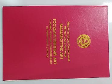 село таш добо: 3 соток — 1