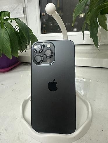 IPhone 16 Pro Max, Б/у, 256 ГБ, Black Titanium, Кабель, 96 %