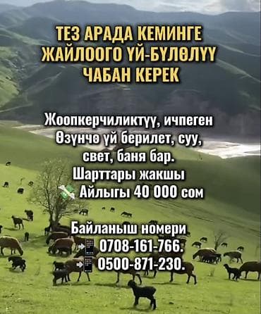 Требуется Пастух, Оплата: Сдельная