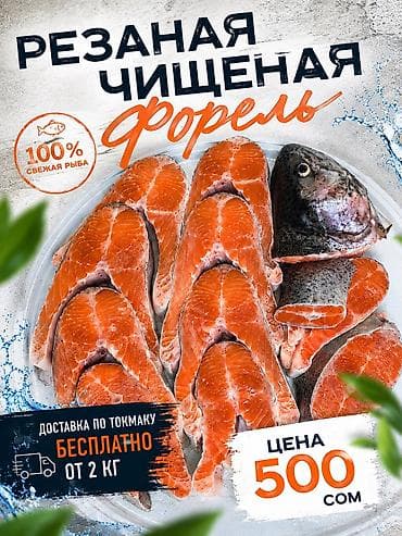лагерь келечек на иссык куле: К сотрудничеству Кафе и рестораны Форель Красная оптом С речки свежая — 5