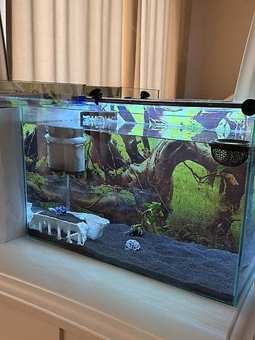 Аквариумы: Продам два аквариума в идеальном состоянии! 🐠 Продаю в связи с — 4