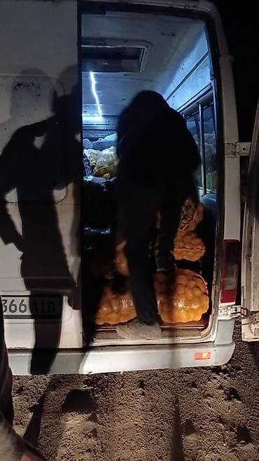 porter 1: Грузоперевозки по маршруту Бишкек – Каракол. - Междугородняя доставка — 7