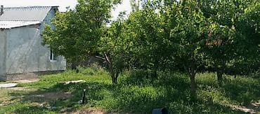 виндом продажа: Евразия паркы, Мурас Юнайтет спорт комплекси жайгашкан райондон 5 — 2
