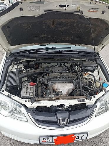 реснички на одиссей: Honda Odyssey: 2001 г., 2.3 л, Автомат, Бензин, Минивэн — 2