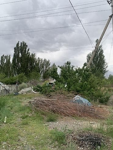 проживанием: 100 соток — 8