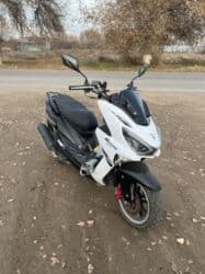 шипованная резина: Все подробные вопросы по телефону — 4