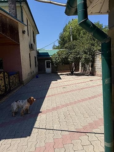 финский дом: 200 м², 4 комнаты, Без животных — 3