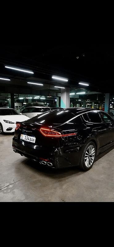 byd plus: Kia Stinger: 2019 г., 2 л, Автомат, Бензин, Лифтбек — 5