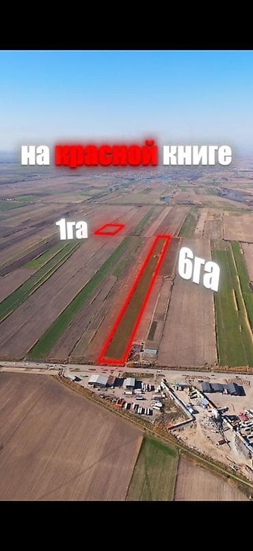 Продажа участков: 700 соток, Для бизнеса, Красная книга — 3