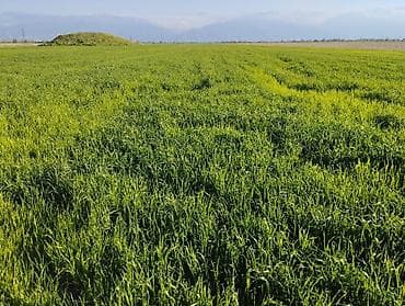 продам гараж: 400 соток — 9