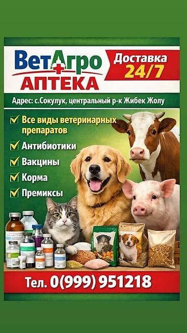 ВетАптека «ВетАгро» - Круглосуточная доставка 24/7 - Ассортимент: все at lalafo.kg ВетАптека «ВетАгро» - Круглосуточная доставка 24/7 - Ассортимент: все