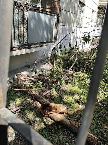 мешок дров: Дрова — 2