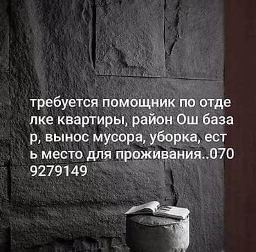 Вынос мусора, шпаклевка, плотницкие