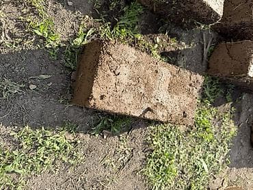 карпы: Саман/глиняный кирпич ручной формовки - Материал: смесь глины — 2