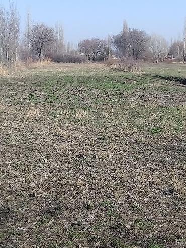 участок фурхат: Срочно продаю дом,рядом городом Кара-Балта.Село Вознесеновка улица — 5