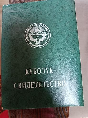 Кыймылсыз мүлк: 140 соток, Айыл чарба үчүн — 1