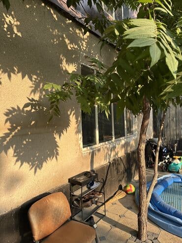 куплю дом в каракол: Дом, 89 м², 4 комнаты, Собственник, Косметический ремонт — 28