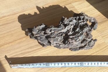 аквариумные растения бишкек: В аквариум коряга очень интересной формы и фактуры — "драконовый — 3