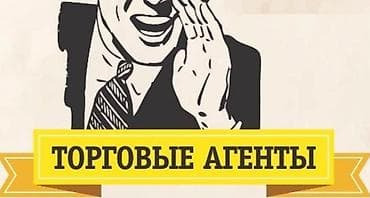 Операторы Call-центра: Требуется Торговый агент, График: Пятидневка, Менее года опыта, Обучение, Полный рабочий день — 3