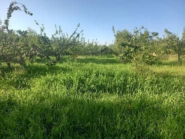 15 соток, Для бизнеса, Красная книга