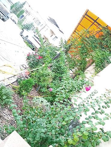 монтаж демонтаж: Сварка | Навесы — 3