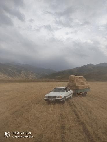 Audi: Audi 100: 1986 г., 2.5 л, Механика, Дизель, Седан — 7