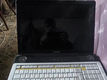 usb hab: Ноутбук Toshiba Satellite (серия A100) - Экран (широкоформатный) — 4