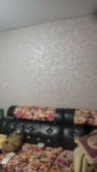 аренда домов посуточно: 2 бөлмө, 43 кв. м, 104-серия, 4 кабат, Косметикалык ремонт — 4