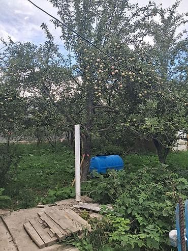 Дома: 2 дома на участке. Есть возможность обмена на другую недвижимость — 6