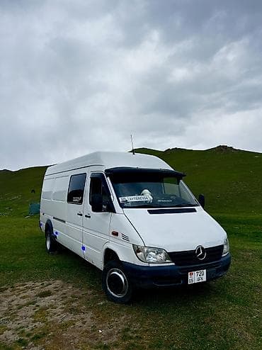 машина гигант: Легкий грузовик, Mercedes-Benz, Стандарт, 3 т, Б/у — 5