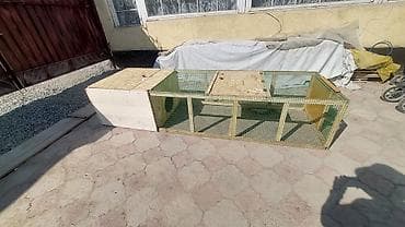 корм для цыплят: Уяча, гнездо с выгулом для цыплят утят гусят и тд, мини курятник — 7