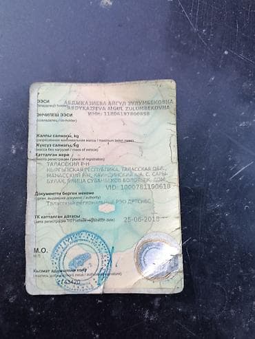 к5 зеркало: Audi 100: 1988 г., 2 л, Механика, Бензин, Седан — 3
